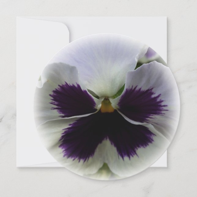 Purple and white pansy invitation (Front)
