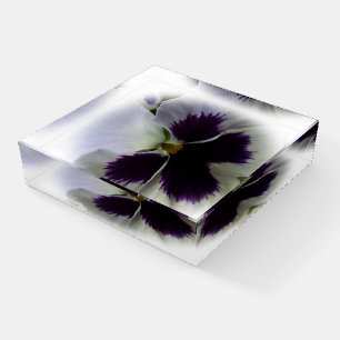 Purple and white pansy paperweight