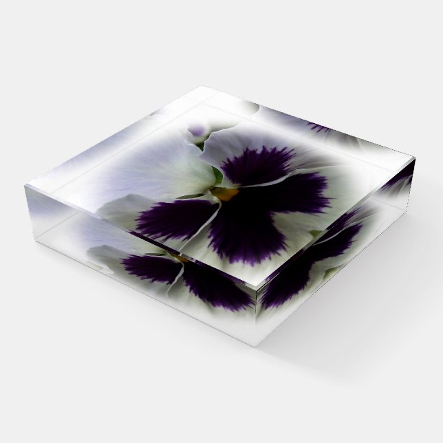 Purple and white pansy paperweight (Angled)