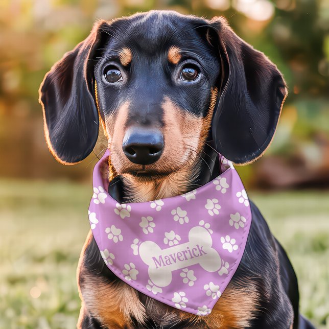 Purple And White Paw Print Dog Bone Custom Name Pet Bandana Collar (Creator Uploaded)