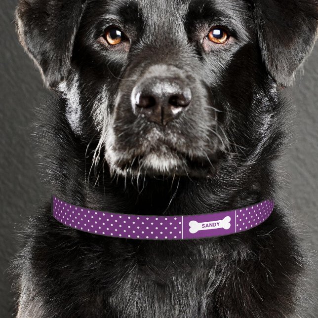 Purple And White Polka Dots Pattern Dog Bone Name Pet Collar