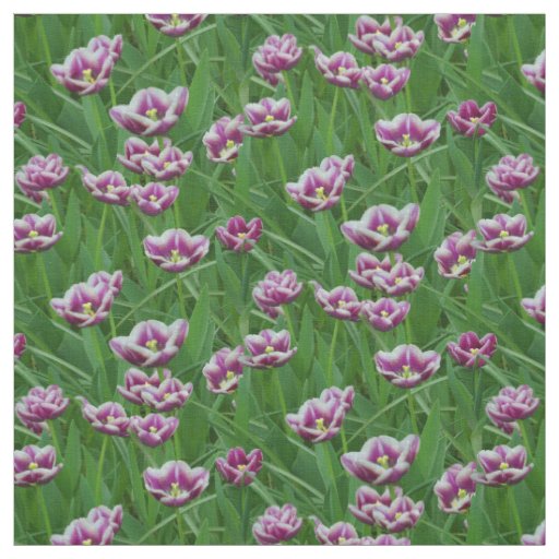 Purple and White Tulips Fabric