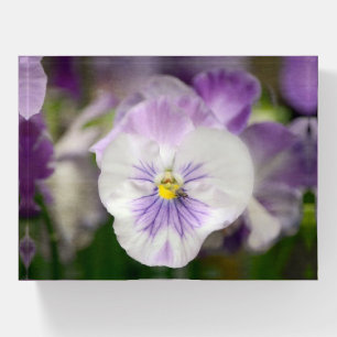 Purple and White Violas by Shirley Taylor Paperweight