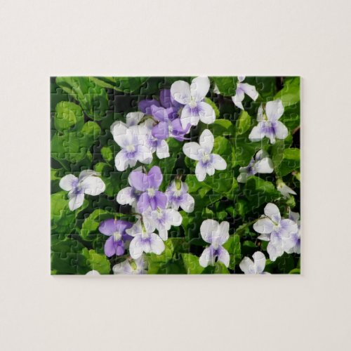 Purple and White Violets Jigsaw Puzzle