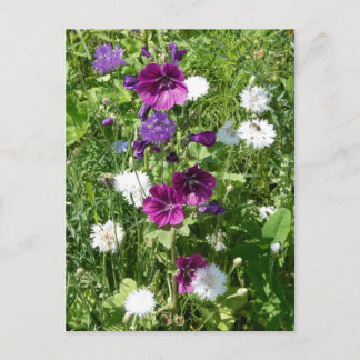 Purple and White Wildflowers DIY Postcard
