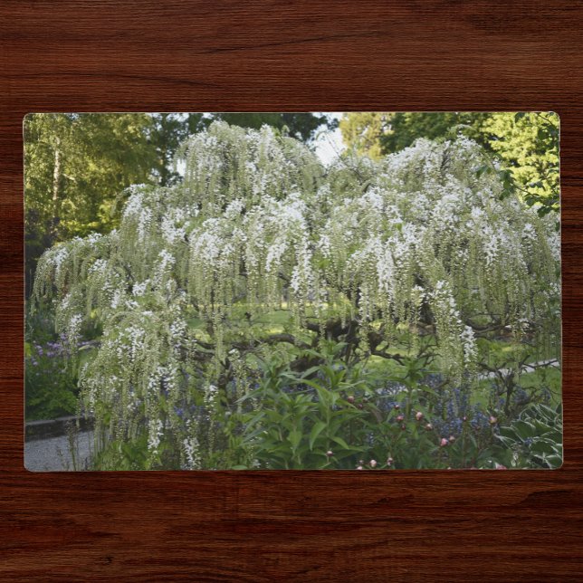 Purple and White Wisteria Blooms Floral Placemat (In Situ Table)