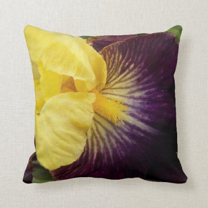 Purple and Yellow Bearded Iris Floral Throw Pillow