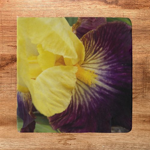 Purple and Yellow Bearded Iris Floral Trivet