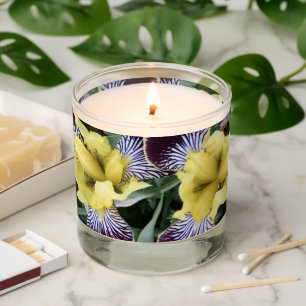 Purple and Yellow Beardless Iris Blooms Floral Scented Candle