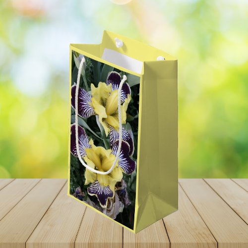 Purple and Yellow Beardless Irises Floral Small Gift Bag