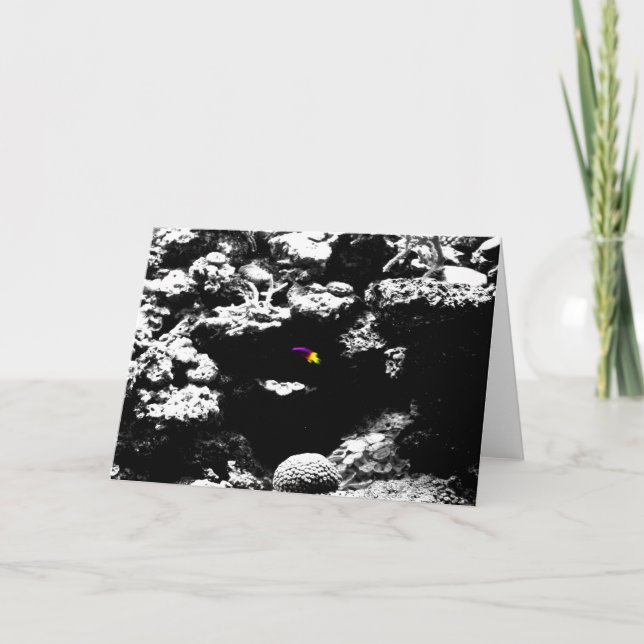 Purple and Yellow Fish Notecard (Front)