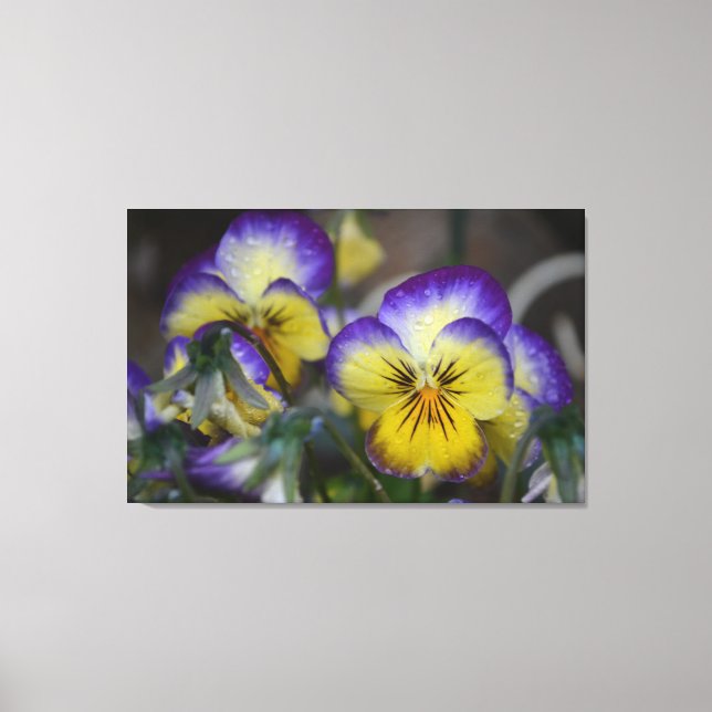 Purple and Yellow Flower Wrapped Canvas Print (Front)
