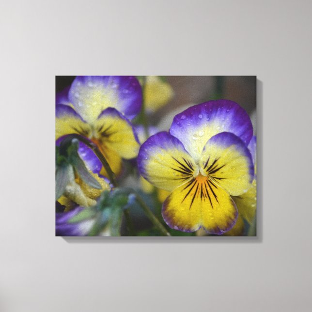 Purple and Yellow Flower Wrapped Canvas Print (Front)