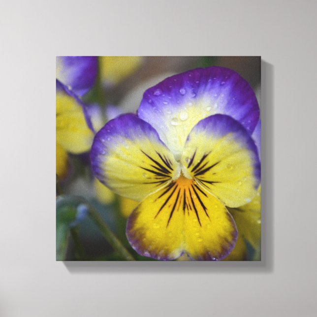 Purple and Yellow Flower Wrapped Canvas Print (Front)