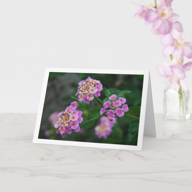 Purple and Yellow Lantana Flowers Card (Orchid)