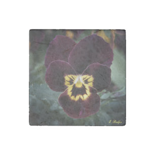 Purple and Yellow Miniature Pansy Stone Magnet