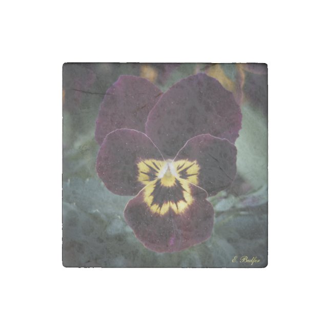 Purple and Yellow Miniature Pansy Stone Magnet (Front)