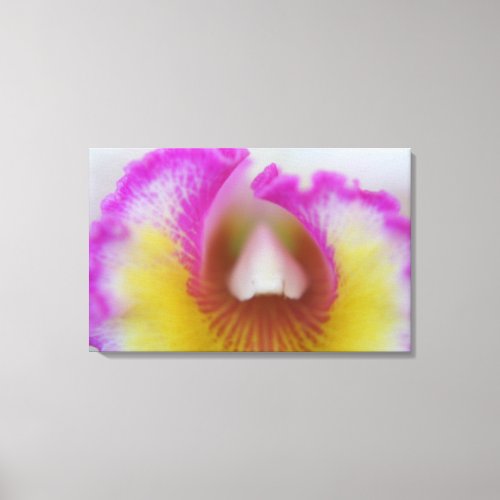 Purple and Yellow Orchid Canvas Print