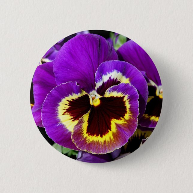 Purple and yellow pansy flower button (Front)