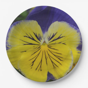 Purple and yellow pansy flower paper plates