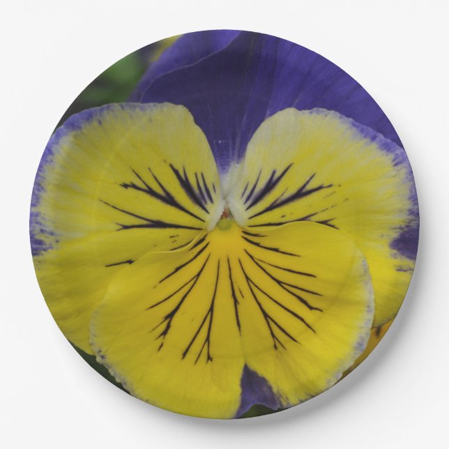 Purple and yellow pansy flower paper plates (Front)