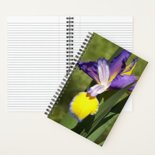 Purple and Yellow Siberian Iris Floral Notebook