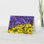 Purple and Yellow Violas Bright Colorful Floral Card