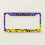 Purple and Yellow Violas Bright Colorful Floral License Plate Frame