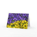 Purple and Yellow Violas Colorful Floral Card