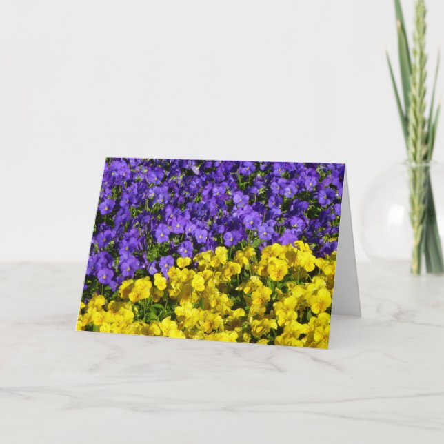 Purple and Yellow Violas Colorful Floral Card (Front)
