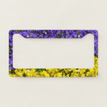 Purple and Yellow Violas Colorful Floral License Plate Frame