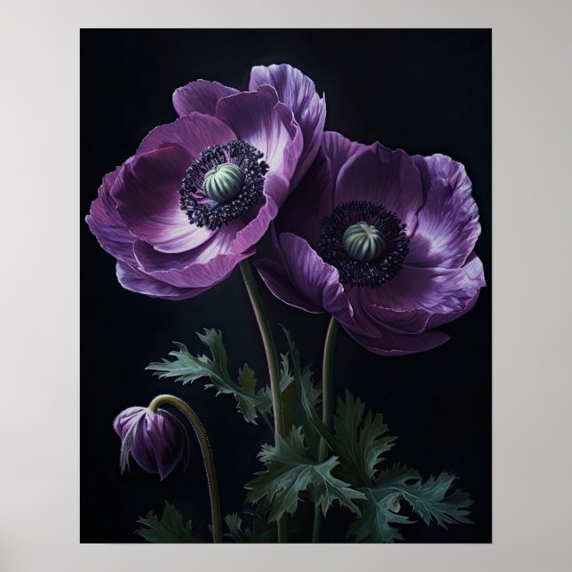 Purple Anemone Flowers Art Print Poster (Front)