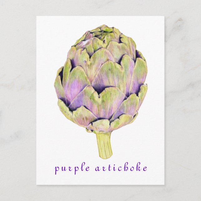 Purple Artichoke Postcard (Front)
