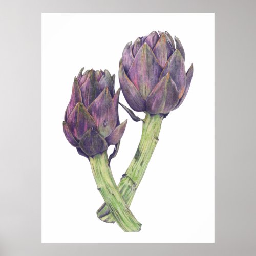 Purple Artichokes Art Print