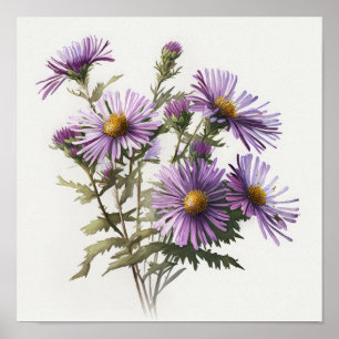 Purple Aster Flower Art Print Poster