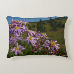 Purple Aster Flowers at Mount Rainier Accent Pillow