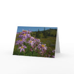 Purple Aster Flowers at Mount Rainier Card