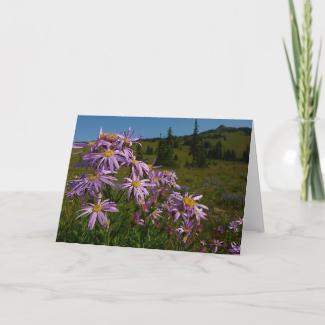 Purple Aster Flowers at Mount Rainier Card (Front)