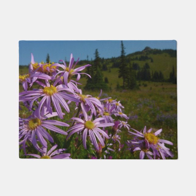 Purple Aster Flowers at Mount Rainier Doormat (Front)