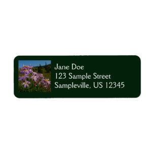 Purple Aster Flowers at Mount Rainier Label