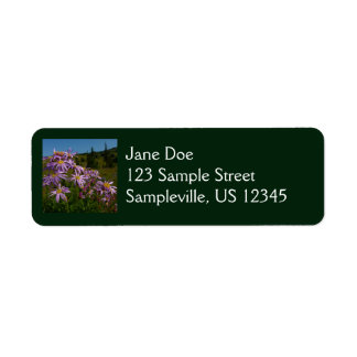 Purple Aster Flowers at Mount Rainier Label