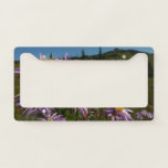 Purple Aster Flowers at Mount Rainier License Plate Frame