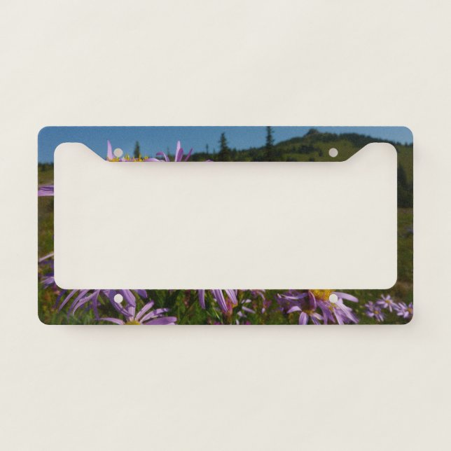 Purple Aster Flowers at Mount Rainier License Plate Frame (Front)