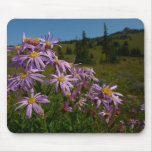 Purple Aster Flowers at Mount Rainier Mouse Pad