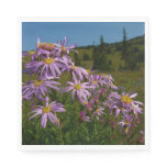 Purple Aster Flowers at Mount Rainier Napkins
