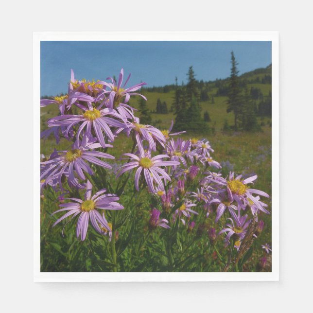 Purple Aster Flowers at Mount Rainier Napkins (Front)