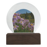 Purple Aster Flowers at Mount Rainier Snow Globe