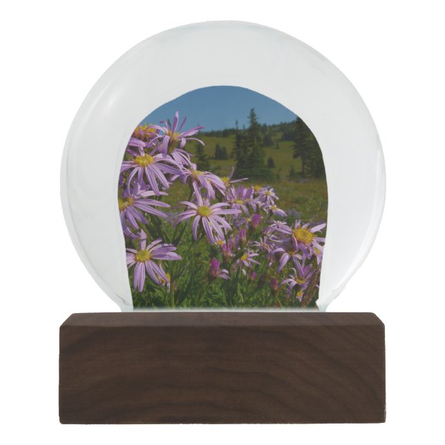 Purple Aster Flowers at Mount Rainier Snow Globe (Front)
