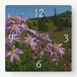 Purple Aster Flowers at Mount Rainier Square Wall Clock