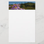 Purple Aster Flowers at Mount Rainier Stationery